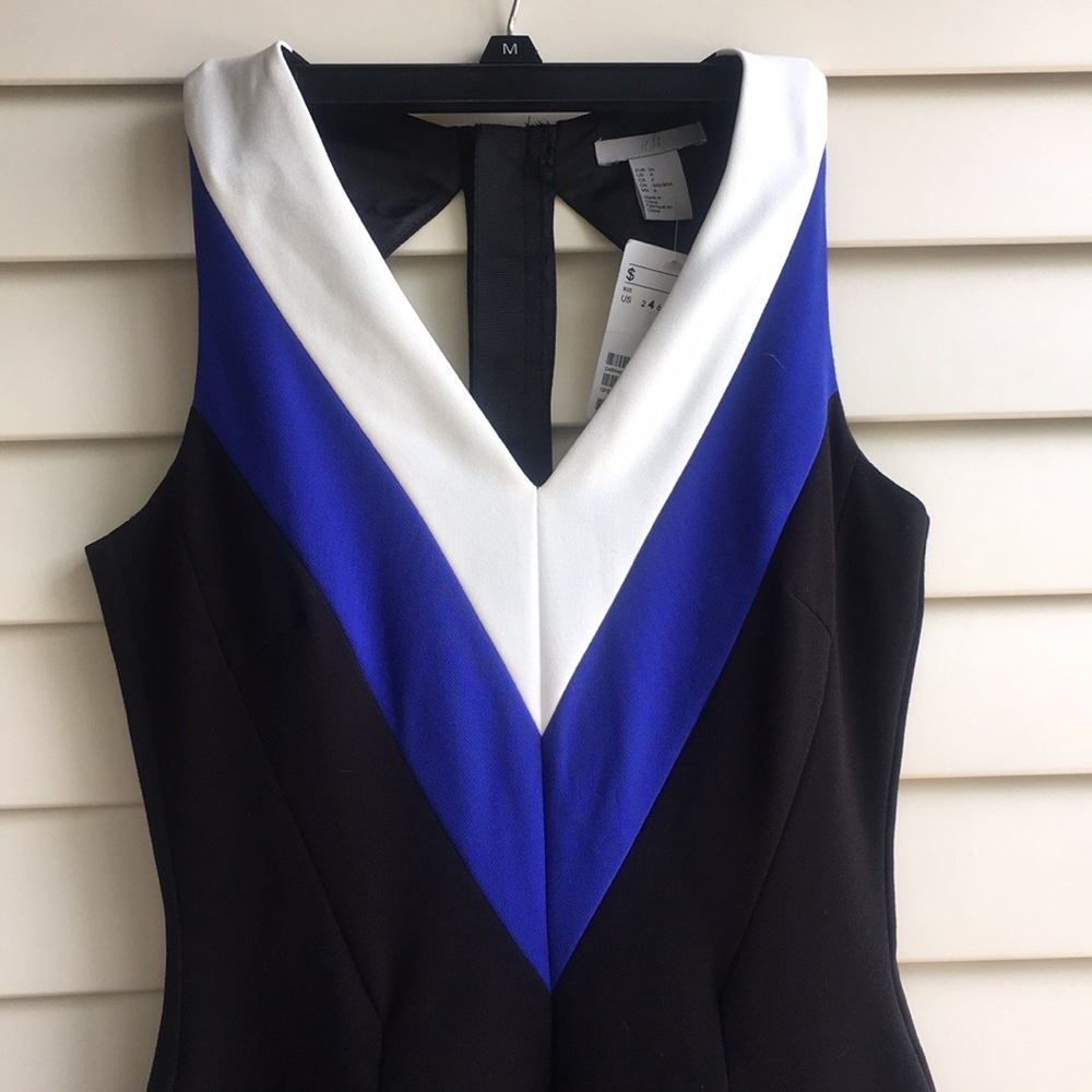 H&M Formal Collection Dress